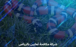 شركة مكافحة ثعابين بالرياض
