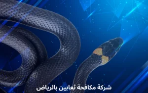 شركة مكافحة ثعابين بالرياض