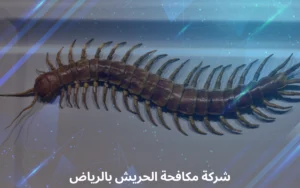  شركة مكافحة الحريش بالرياض 