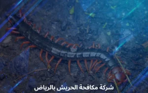  شركة مكافحة الحريش بالرياض 