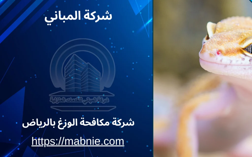 شركة مكافحة الوزغ بالرياض
