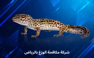 شركة مكافحة الوزغ بالرياض