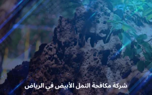 شركة مكافحة النمل الأبيض في الرياض
