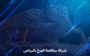 شركة مكافحة الوزغ بالرياض