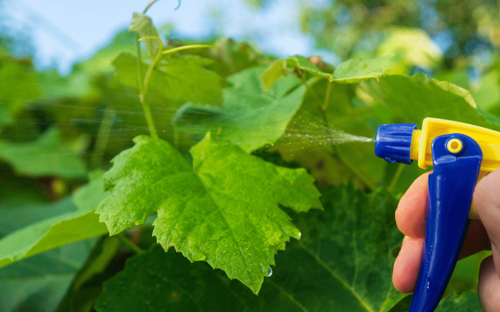 مكافحة الحشرات