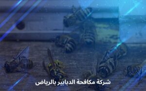 شركة مكافحة الدبابير بالرياض