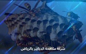 شركة مكافحة الدبابير بالرياض